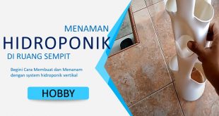 Cara Menamam Tanaman Secara Hidroponik Vertikal