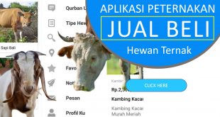 Aplikasi Jual Beli Hewan Ternak Seluruh Indonesia