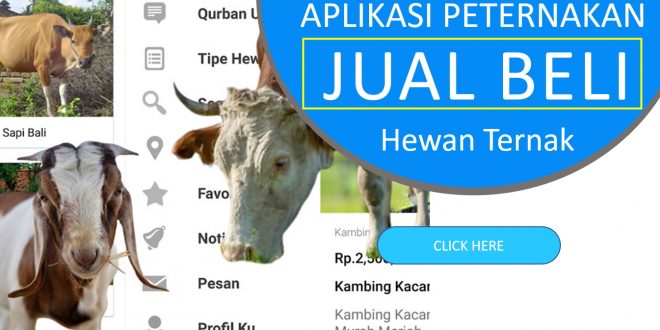 Aplikasi Jual Beli Hewan Ternak Seluruh Indonesia