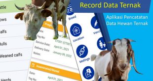 Aplikasi Recording Data Ternak