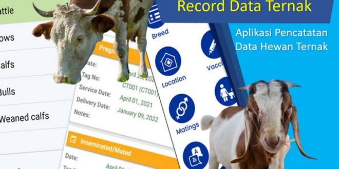 Aplikasi Recording Data Ternak