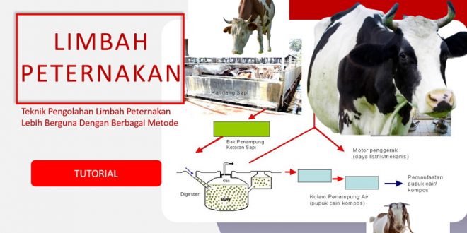 cara mengolah limbah peternakan