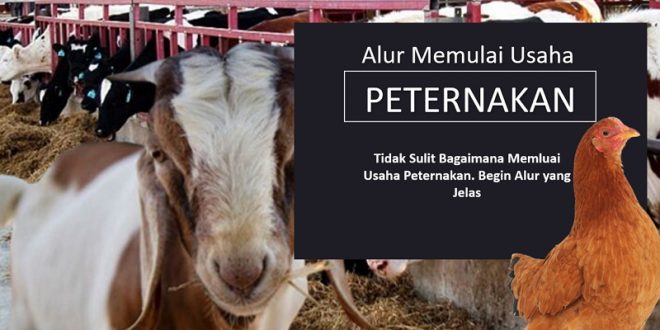 Cara Memulai Usaha Peternakan Itu Mudah