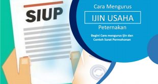 Cara Mengurus Izin Usaha Peternakan dan Contoh Surat