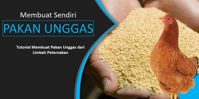 Membuat Pakan Ternak Dan Unggas Dari Limbah Peternakan