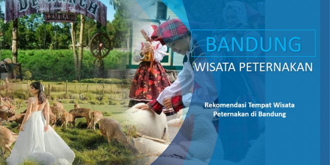 Rekomendasi Wisata Peternakan di Bandung Terbaik