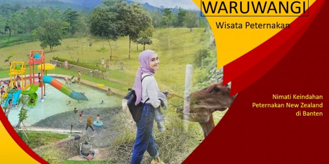 Wisata Peternakan di Serang Banten Serasa New Zeland