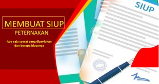 cara membuat SIUP peternakan berikut syarat dan biaya