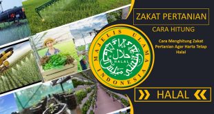 Cara Menghitung Zakat Hasil Pertanian