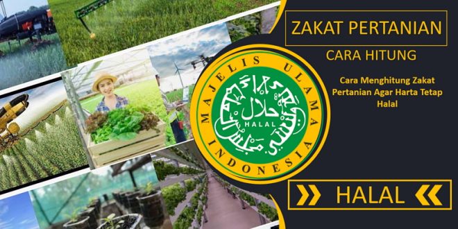 Cara Menghitung Zakat Hasil Pertanian