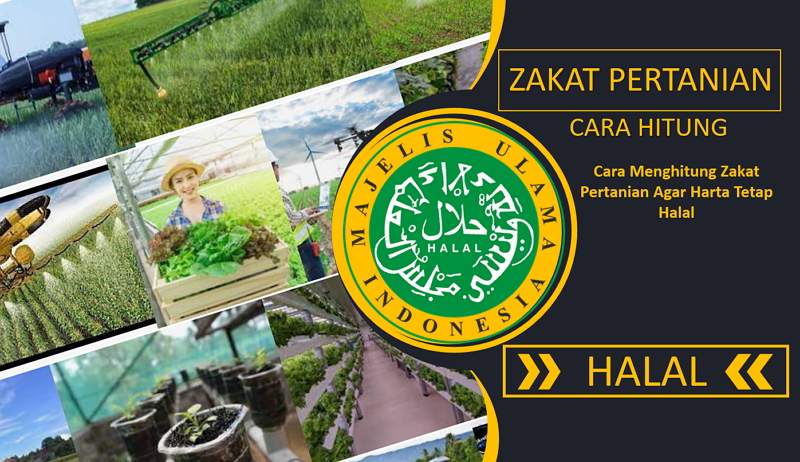 Cara Menghitung Zakat Hasil Pertanian