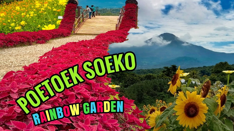 Rainbow Garden Poetoek Soeko