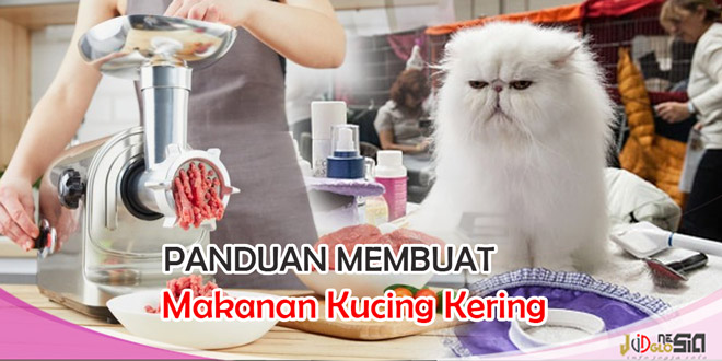 5 Resep membuat makanan kucing kering sendiri dirumah