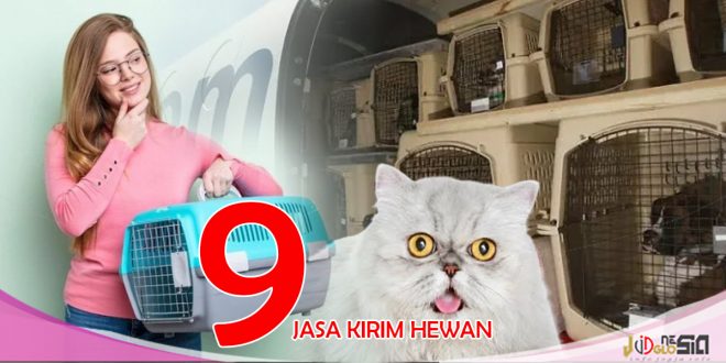 Jasa Pengiriman Kucing dan Hewan Lainnya