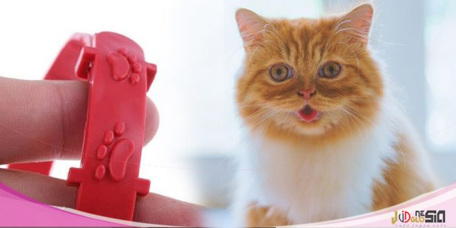 Bahaya Kalung Anti Kutu Kucing dan bagaimana Cara Kerjanya