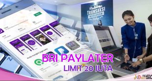 BRI Paylater, Pinjaman Online BRI Langsung Cair Bikin Hari Ceria