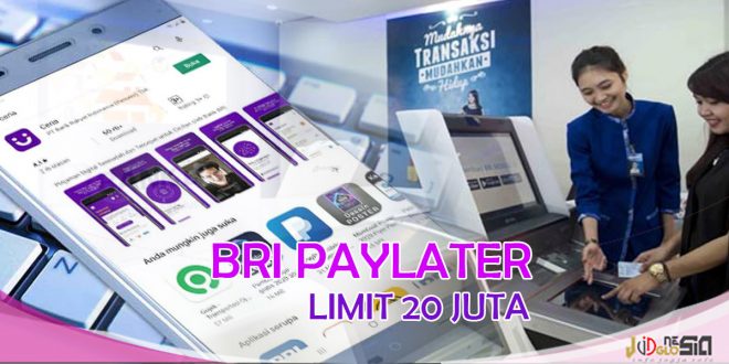 BRI Paylater, Pinjaman Online BRI Langsung Cair Bikin Hari Ceria