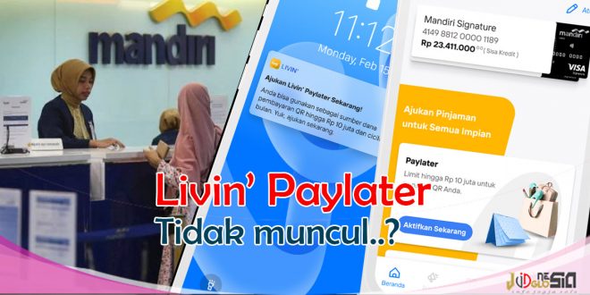 Kenapa Menu Mandiri Paylater Tidak Muncul Di Aplikasi Livin