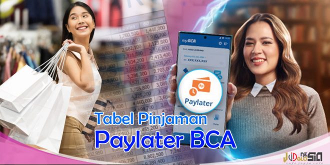 Simulasi Tabel Pinjaman Paylater BCA dan Biaya Pengajuan