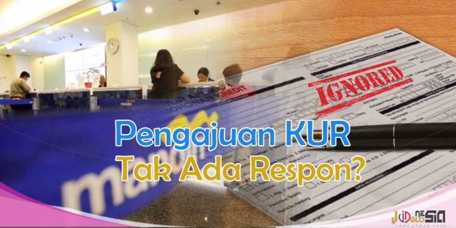 Pengajuan Kur Tidak Ada Tanggapan Ini Alasan dan Solusinya